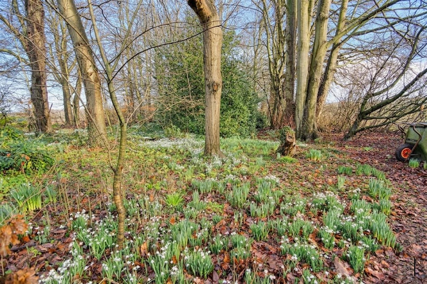 Kilnwick, Driffield